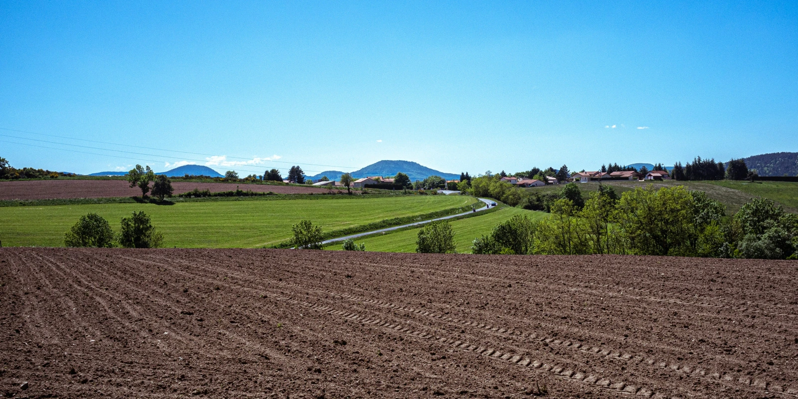 Etudes de Médecine : Les Clés du Succès