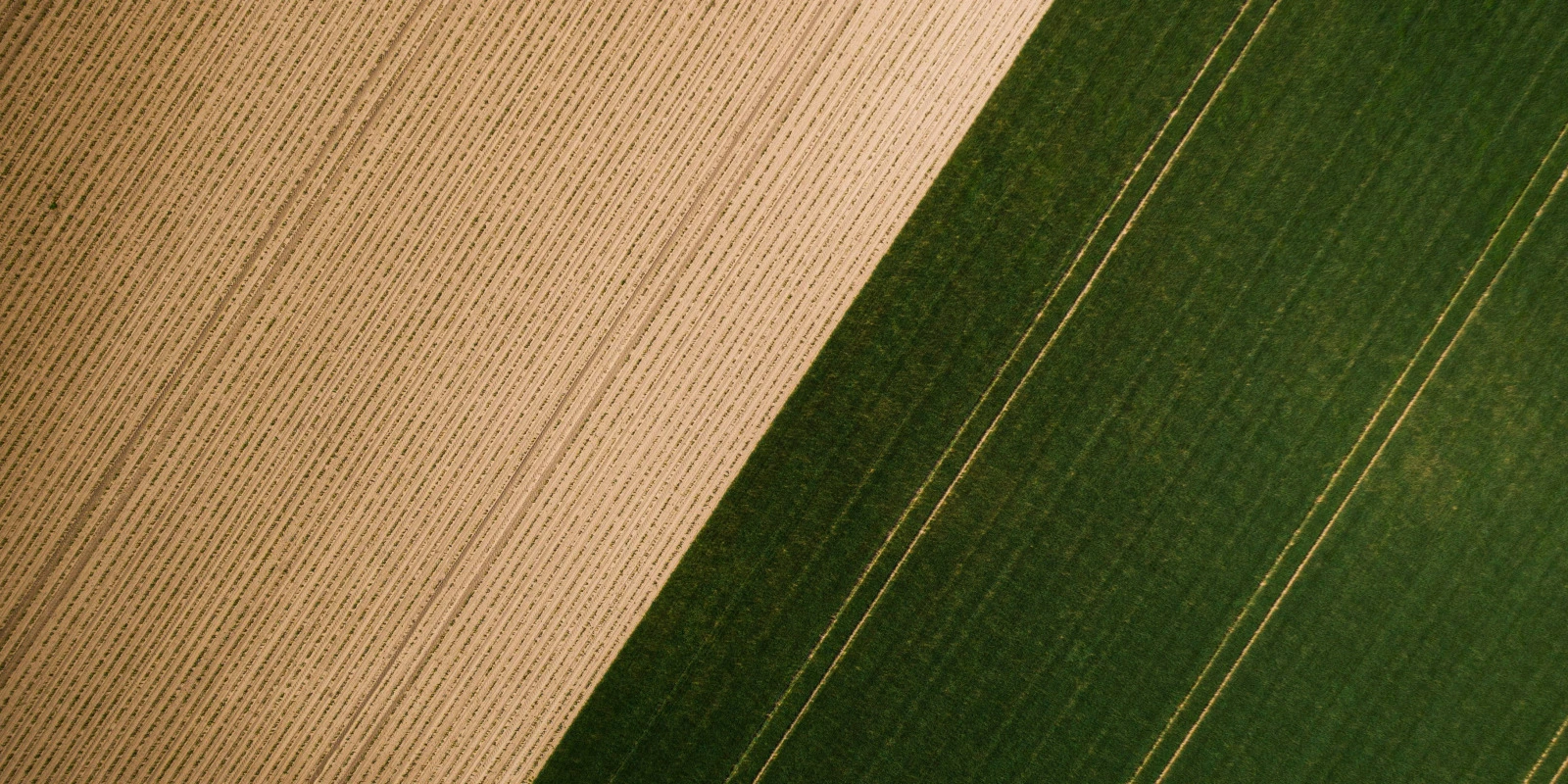 La Révolution des Nanotechnologies dans le Traitement des Maladies