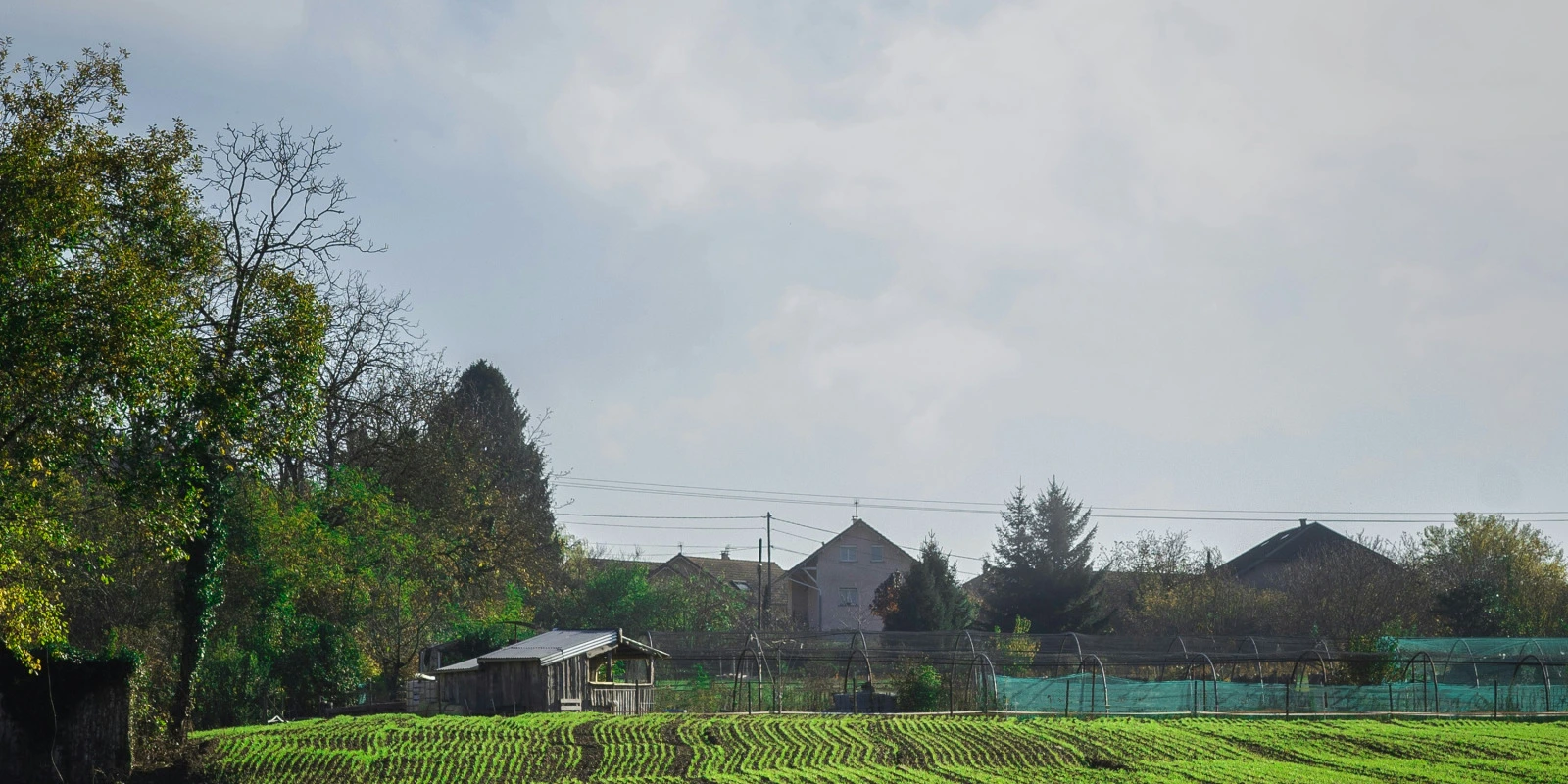 Las Psychologie : Une Option Viable