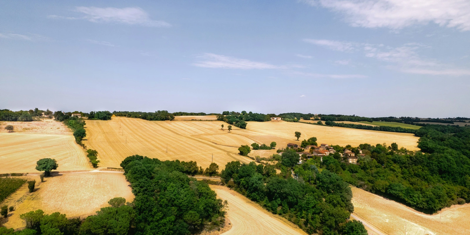 Licence Pass : Un Tremplin pour les Professions Médicales