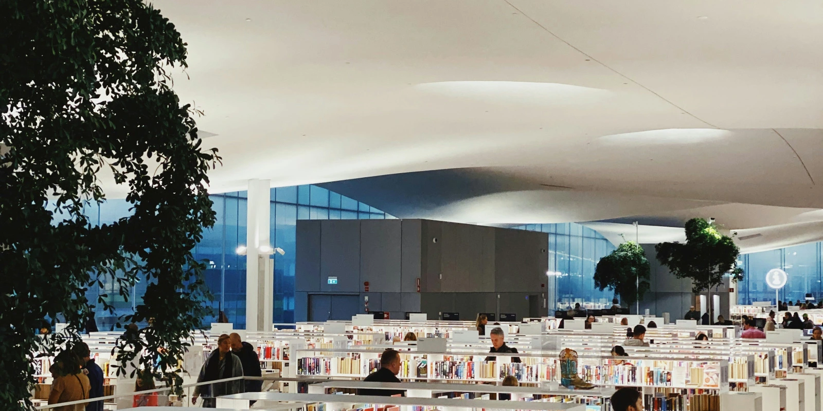 Pass Lass : Comprendre les Différences