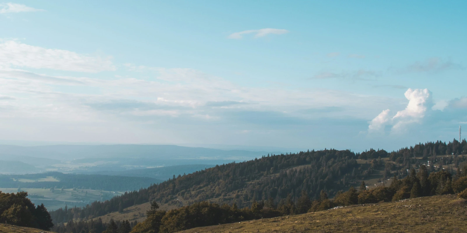 Pass Lass : Les Défis de la Réussite