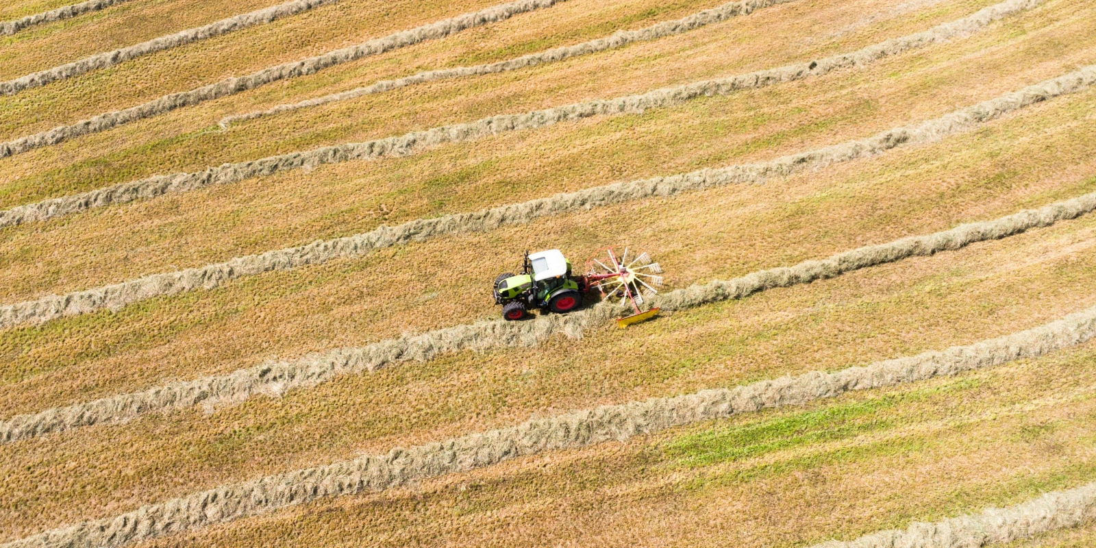 Sciences pour la Santé et Nutrition : Interactions et Impact